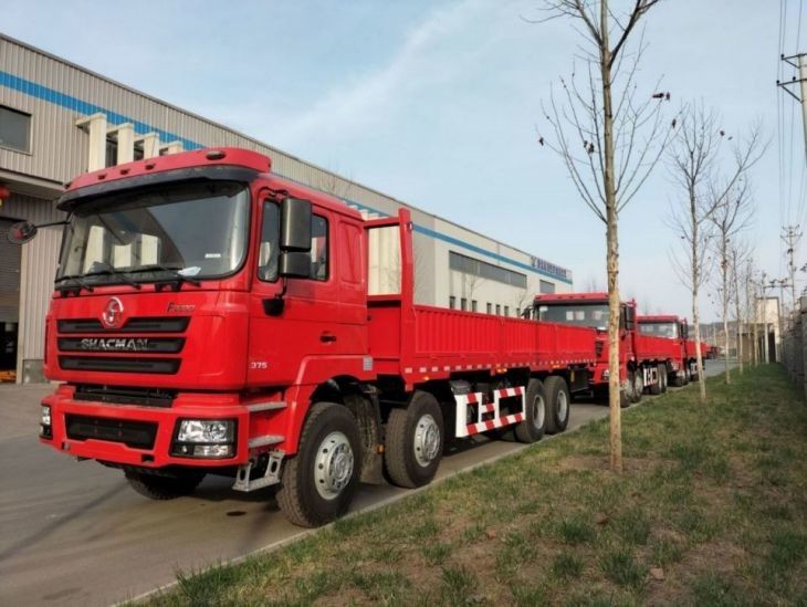 Запас топлива 400L грузовик грузовик SHACMAN F3000 8x4 грузовик 375hp Неон красный